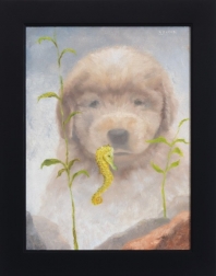 Stuart Dunkel: Seahorse and Puppy