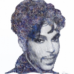 Virginie Schroeder: Purple Rain Prince