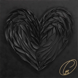 Cynthia Coulombe-Bégin: Black Swan No.4