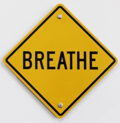 Scott Froschauer: Breathe V
