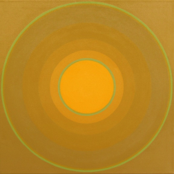 Paul Westacott: Yellow Spin