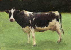 James Zamora: Untitled (Cow)
