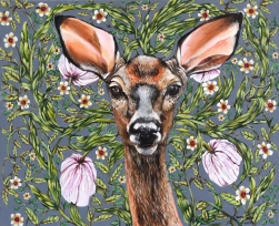 Naomi Jones: Deer