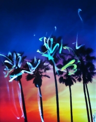 Pete Kasprzak: Venice California Multi Palms 2