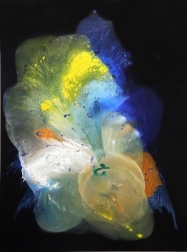 Clara Berta: Explosive Dreams