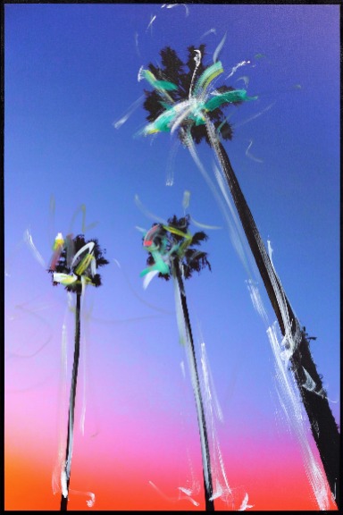 Pete Kasprzak: Santa Barbara 3 Palms image 1