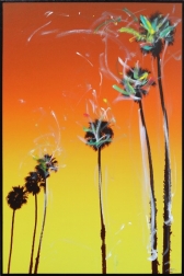 Pete Kasprzak: Santa Barbara Up Palms