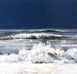 Steven Nederveen: Distant Shores