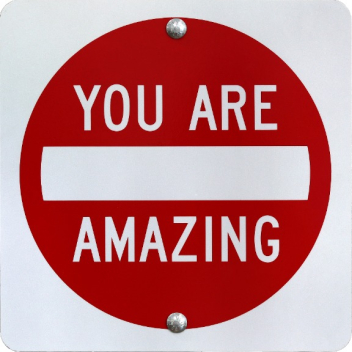 Scott Froschauer: You Are Amazing V