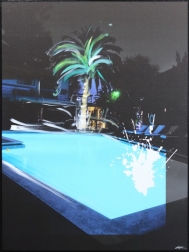 Pete Kasprzak: Hollywood Gardens Nightswim
