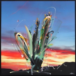 Pete Kasprzak: Arizona Red Sunset Cactus