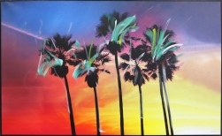 Pete Kasprzak: Venice California Multi Palms II