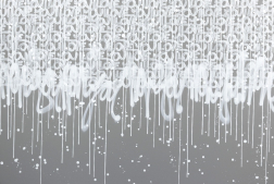 Amber Goldhammer: In the Midst of it All