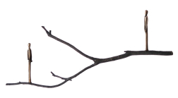 Jennyfer Stratman: Graft E10