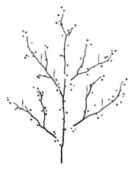 Jennyfer Stratman: Perched on the Tree of Life image 1