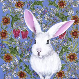 Naomi Jones: Sweet White Rabbit