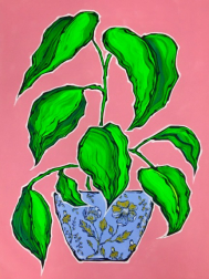 Jonjo Elliott: Plante Verte
