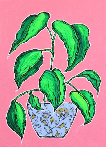 Jonjo Elliott: Plante Verte image 1