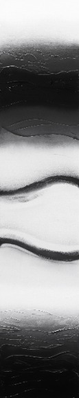 Nichole McDaniel: Shades of Black and White 1 image 1