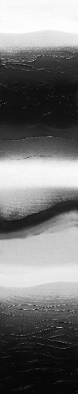 Nichole McDaniel: Shades of Black and White 2 image 1