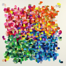 Shiri Phillips: Burst of Color