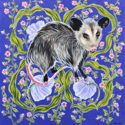 Naomi Jones: Possum on Blue