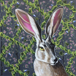 Naomi Jones: Jackrabbit on Grey