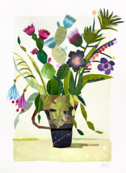 Maria C Bernhardsson: Cactus Flowers