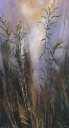Amber Young: Golden Rod 1