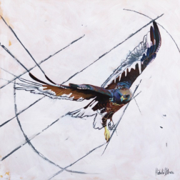 Michelle Fillmore: Forward Motion