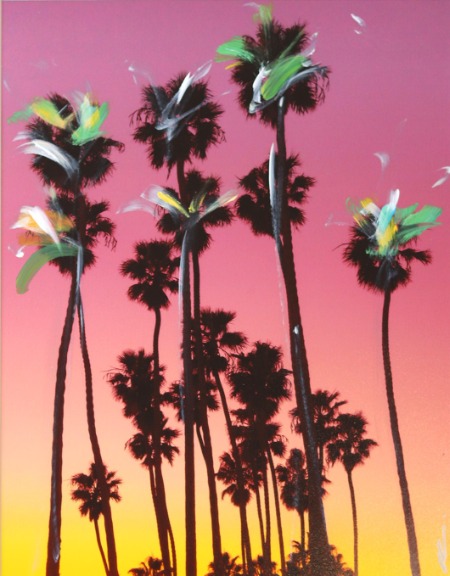 Pete Kasprzak: Santa Barbara Grouped Palms I image 1
