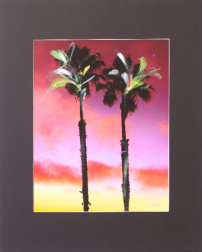 Pete Kasprzak: Redondo Palms I