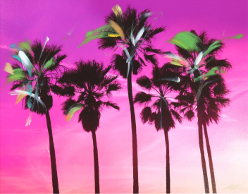 Pete Kasprzak: Venice California Pink Palms I