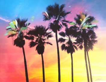 Pete Kasprzak: Venice California Multi Palms I