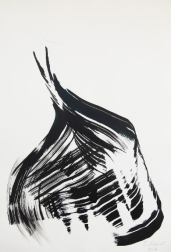 Bettina Mauel: Black Beauty 16