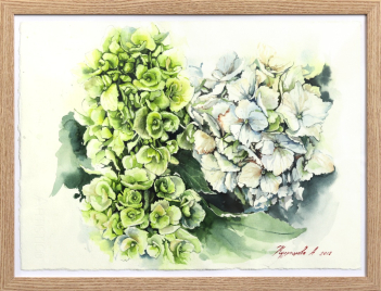 Anna Kudriashova: Green and White Hydrangeas