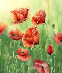 Anna Kudriashova: Poppies With a Green Background