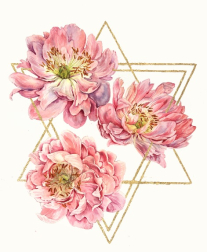 Anna Kudriashova: Triangle of Peonies