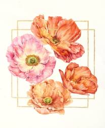 Anna Kudriashova: Square of Poppies