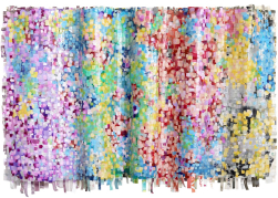 Shiri Phillips: My Joyful Heart