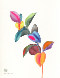 Xiao Wen Xu: Rainbowland Ruscus