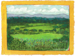 Michaela Jean: Freedom Field