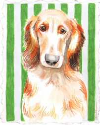 Kellie Newsome: Dachshund Love