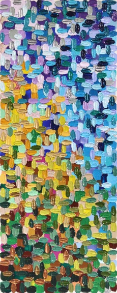 Shiri Phillips: Earth To Sky image 1
