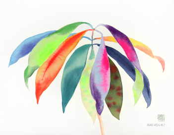 Xiao Wen Xu: Rainbowland Bruguiera