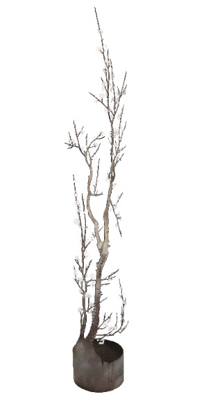 Darcy Bellamy: Winter Blossoms image 1