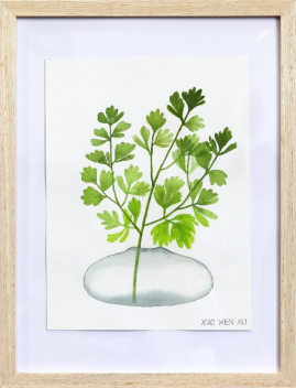 Xiao Wen Xu: Cilantro Bouquet in Vase