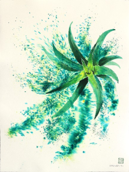 Xiao Wen Xu: Aloe Vera