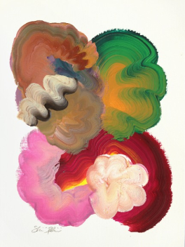 Shiri Phillips: 5.17 #6