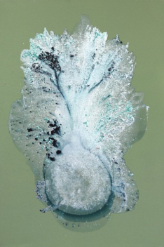 Clara Berta: Glaciers